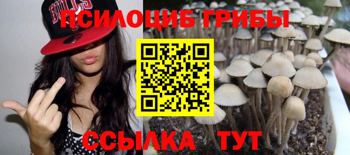 Галлюциногенные грибы GOLDEN TEACHER Новоуральск