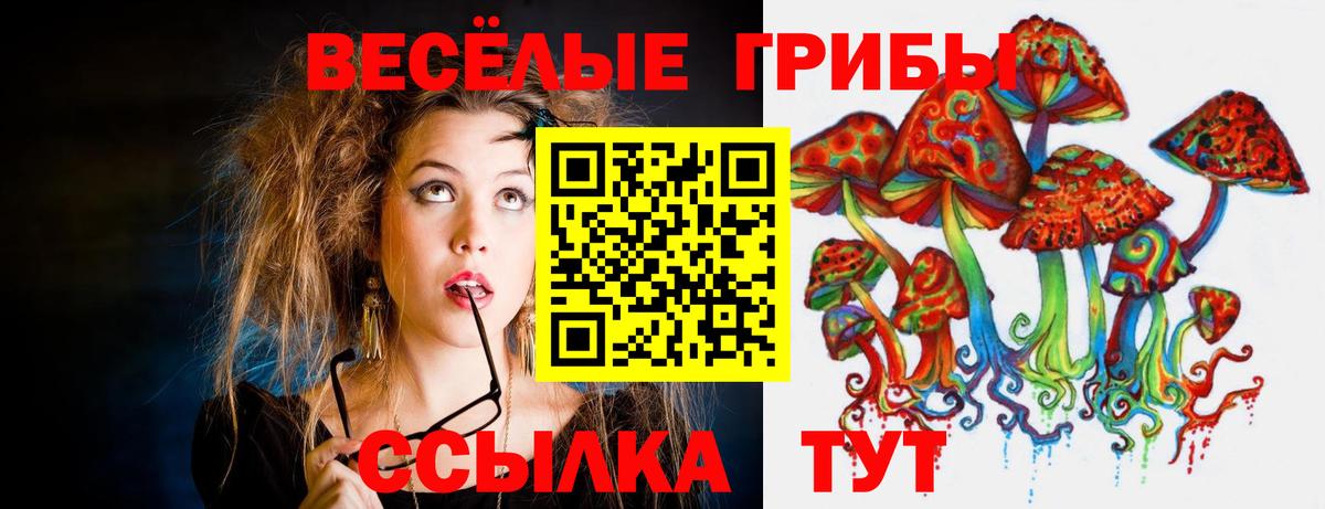 Новоуральск  Галлюциногенные грибы мухоморы  Вход с VPN 